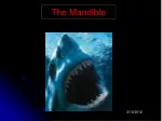 Comprehensive Guide to Mandible Radiography - slide 1