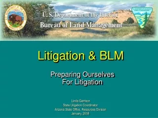 Litigation &amp; BLM