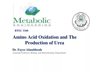 Amino Acid Oxidation and The Production of Urea