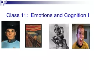 Class 11:  Emotions and Cognition I
