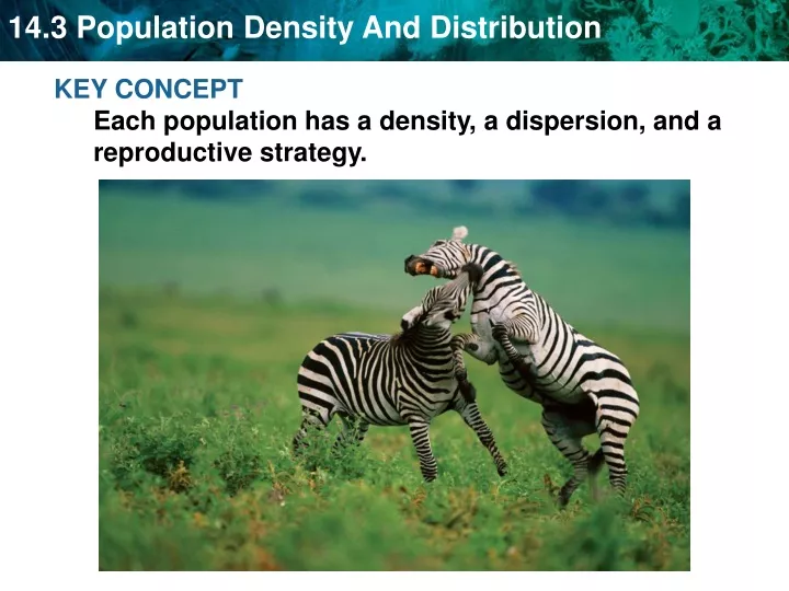 key concept each population has a density