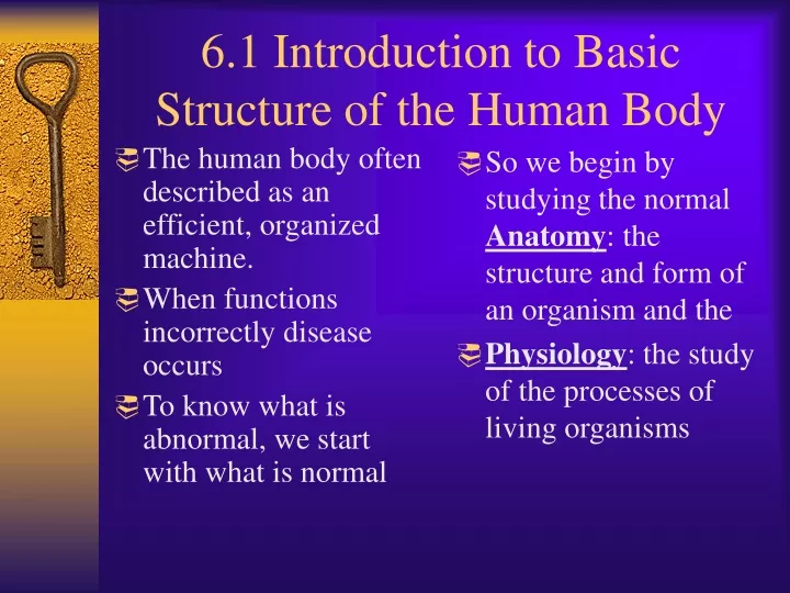 6 1 introduction to basic structure of the human body