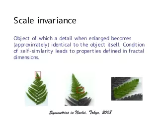Scale invariance