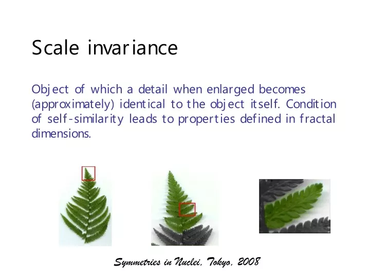 scale invariance