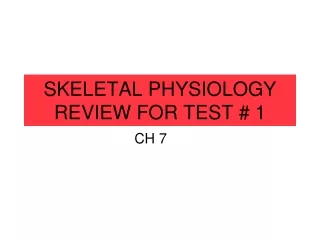 SKELETAL PHYSIOLOGY REVIEW FOR TEST # 1