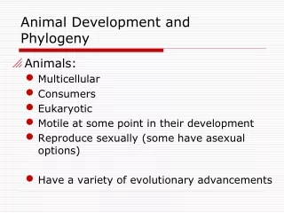 Animal Development and Phylogeny