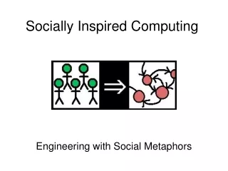 Socially Inspired Computing