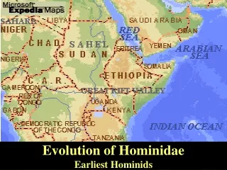 Evolution of Hominidae Earliest Hominids