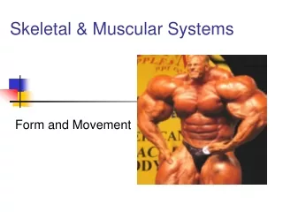 Skeletal &amp; Muscular Systems