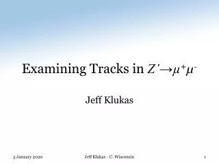 Examining Tracks in  Z’→µ + µ -