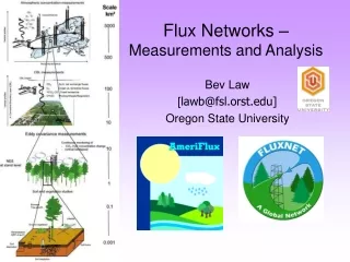 Flux Networks –  Measurements and Analysis