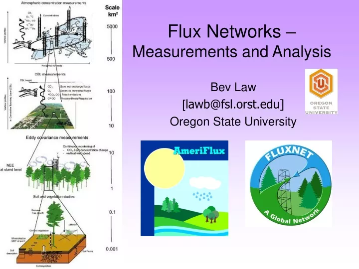 flux networks measurements and analysis