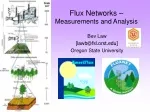 Flux Networks –  Measurements and Analysis - slide 1