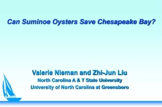 Can Suminoe Oysters Save Chesapeake Bay?