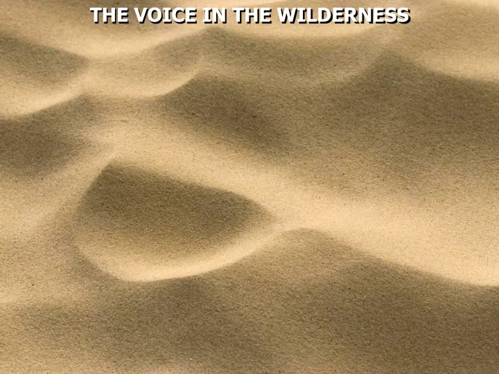 the voice in the wilderness