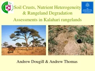 Soil Crusts, Nutrient Heterogeneity &amp; Rangeland Degradation Assessments in Kalahari rangelands