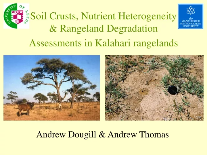 soil crusts nutrient heterogeneity rangeland degradation assessments in kalahari rangelands