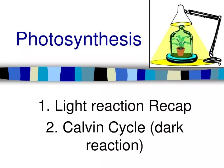 photosynthesis