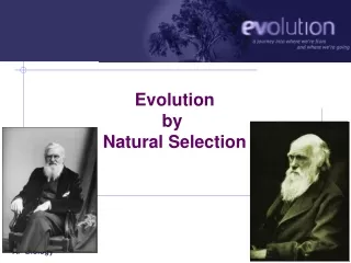 Evolution by  Natural Selection