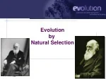 Evolution by  Natural Selection - slide 1