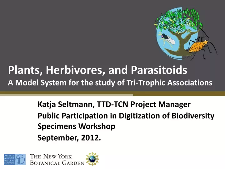 plants herbivores and parasitoids a model system for the study of tri trophic associations