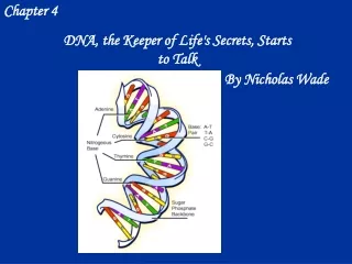 DNA, the Keeper of Life's Secrets, Starts to Talk
