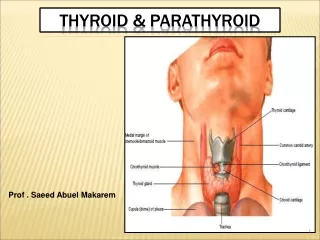 THYROID &amp; PARATHYROID