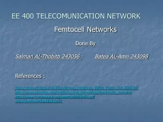 EE 400 TELECOMUNICATION NETWORK