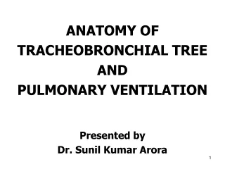 ANATOMY OF  TRACHEOBRONCHIAL TREE  AND  PULMONARY VENTILATION Presented by  Dr. Sunil Kumar Arora