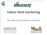 Indoor Herb Gardening - slide 1