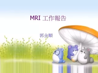 MRI  工作報告