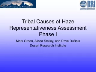 Tribal Causes of Haze Representativeness Assessment Phase I