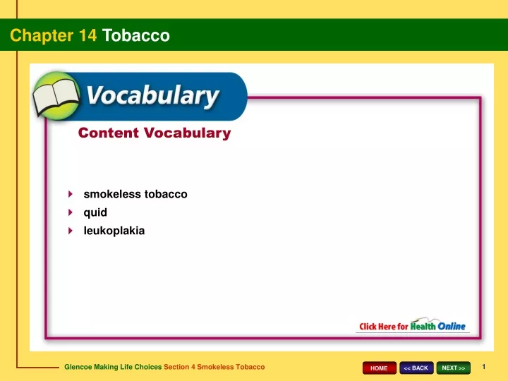 content vocabulary