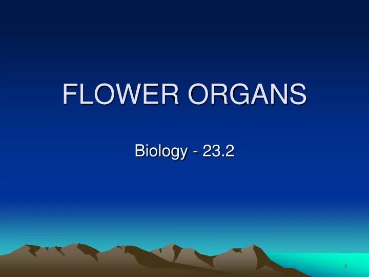 flower organs