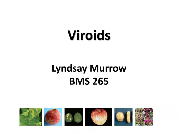 viroids lyndsay murrow bms 265