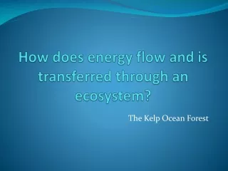 How does energy flow and is transferred through an ecosystem?