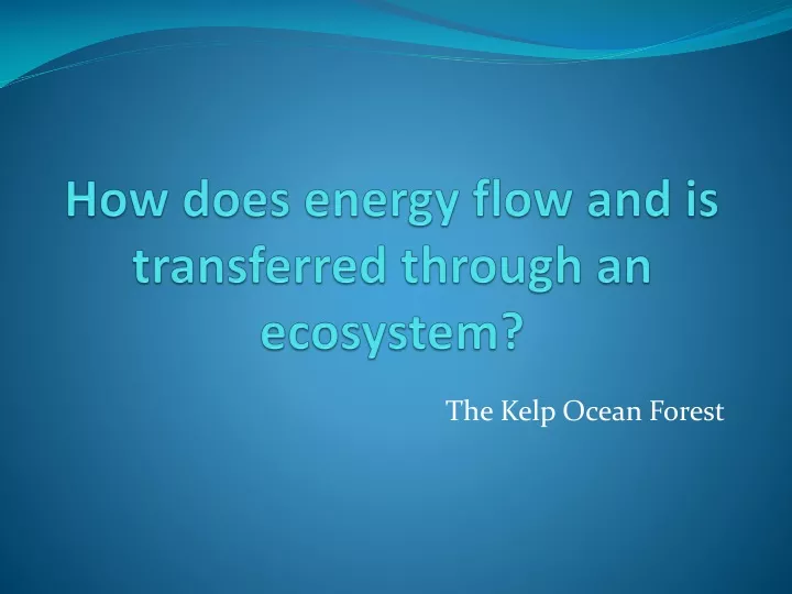 how does energy flow and is transferred through an ecosystem