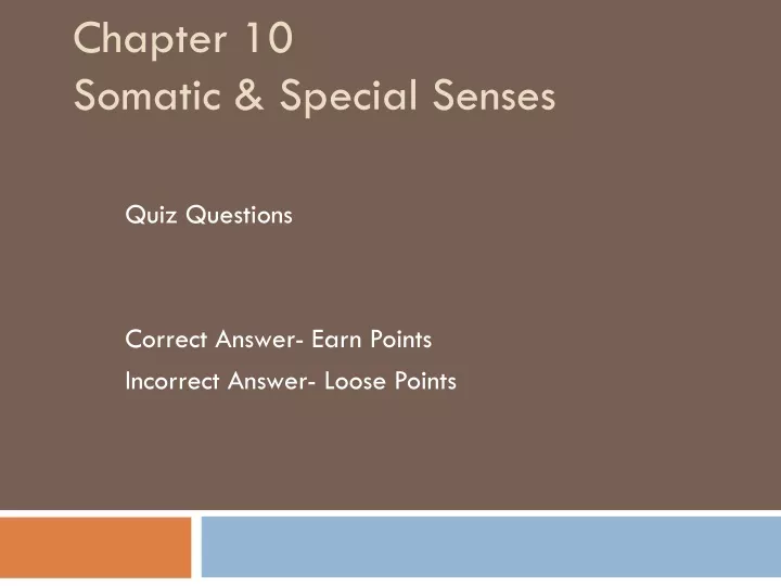chapter 10 somatic special senses