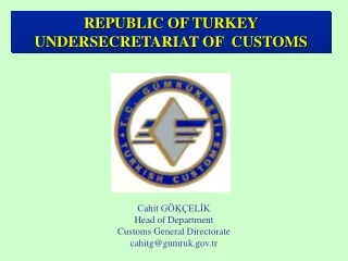 REPUBLIC OF TURKEY UNDERSECRETARIAT OF  CUSTOMS