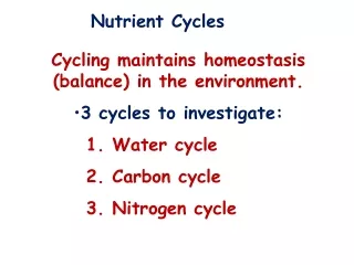 Nutrient Cycles