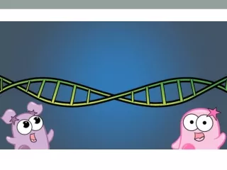 Meiosis &amp; Sex Cell Reproduction