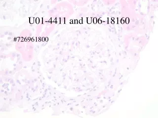 U01-4411 and  U06- 18160