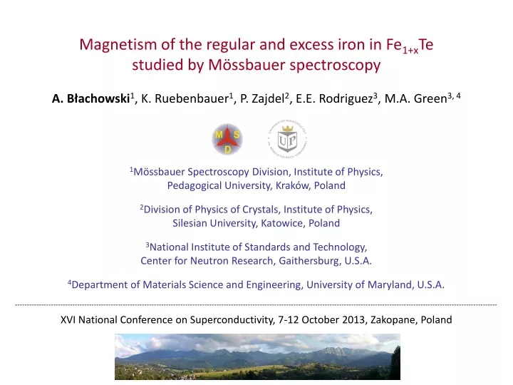 magnetism of the regular and excess iron