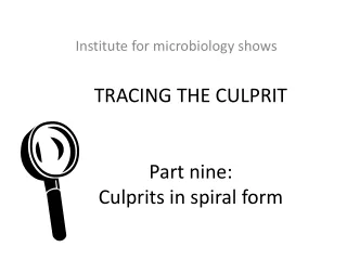 TRACING THE C ULPRIT Part nine: C ulprit s in spiral form