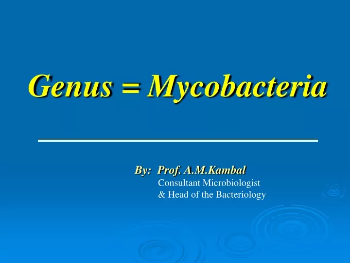 genus mycobacteria