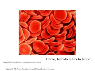 Hemo, hemato refers to blood