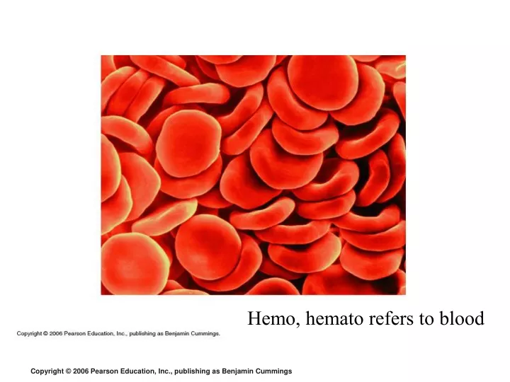 hemo hemato refers to blood