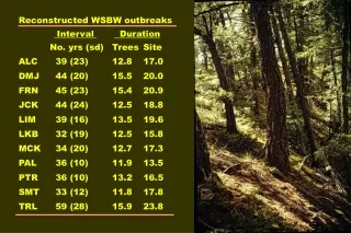 Reconstructed WSBW outbreaks    Interval    Duration   	No. yrs (sd)	Trees	Site