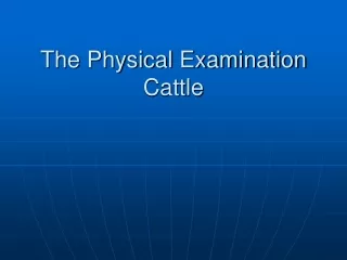 The Physical Examination Cattle