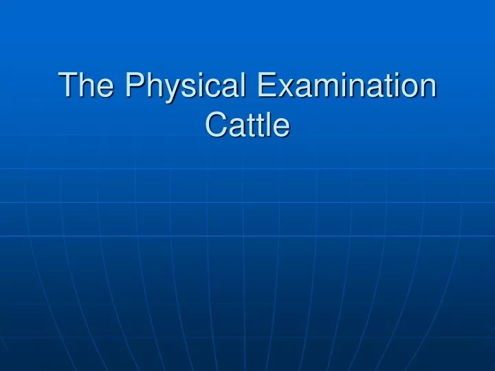 the physical examination cattle